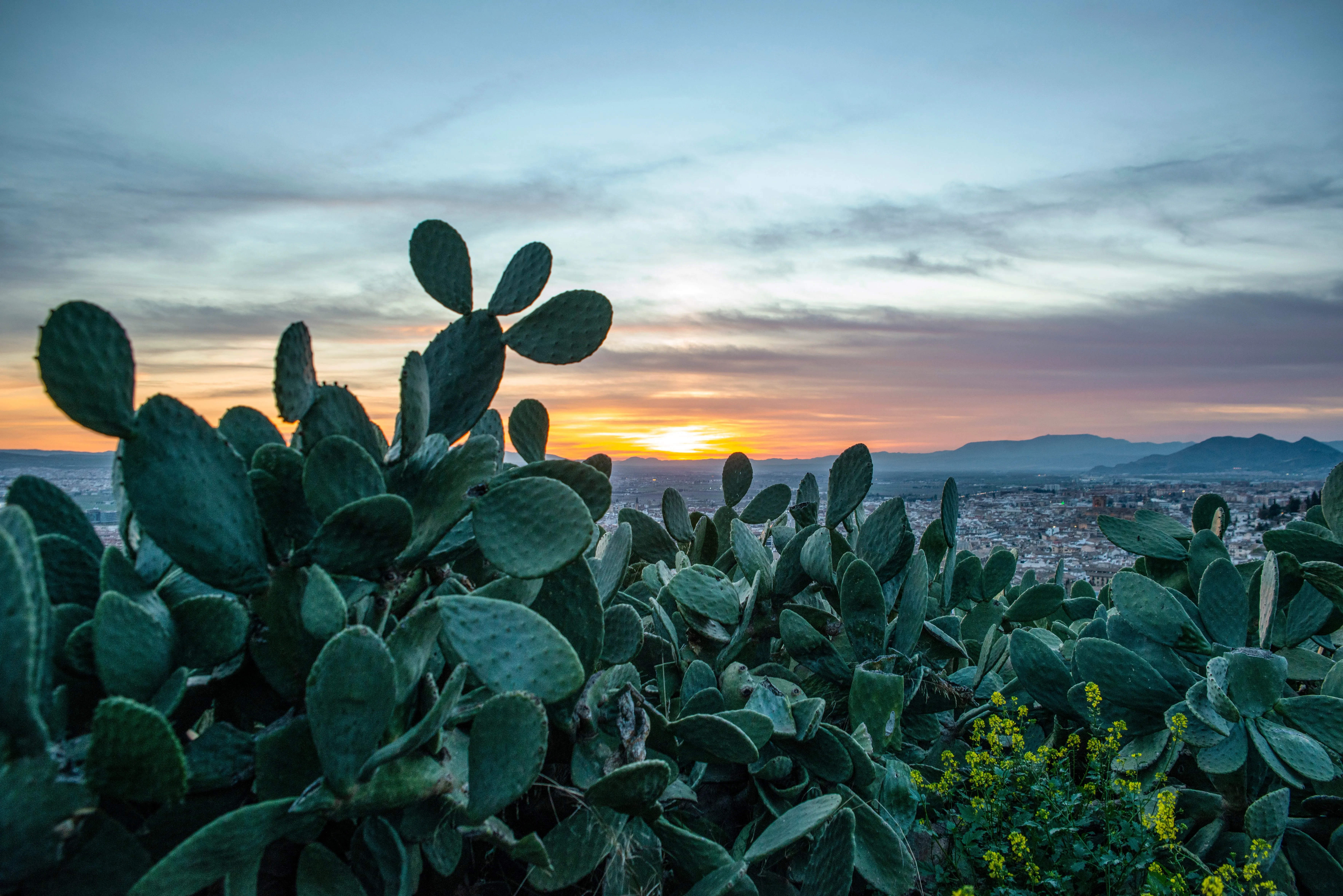 Costumbres y Tradiciones